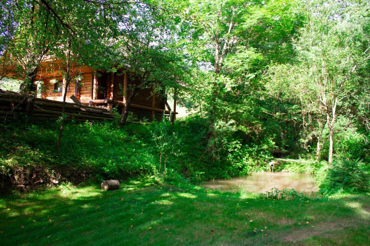 Тихий Куточок Villa Izki Exteriör bild