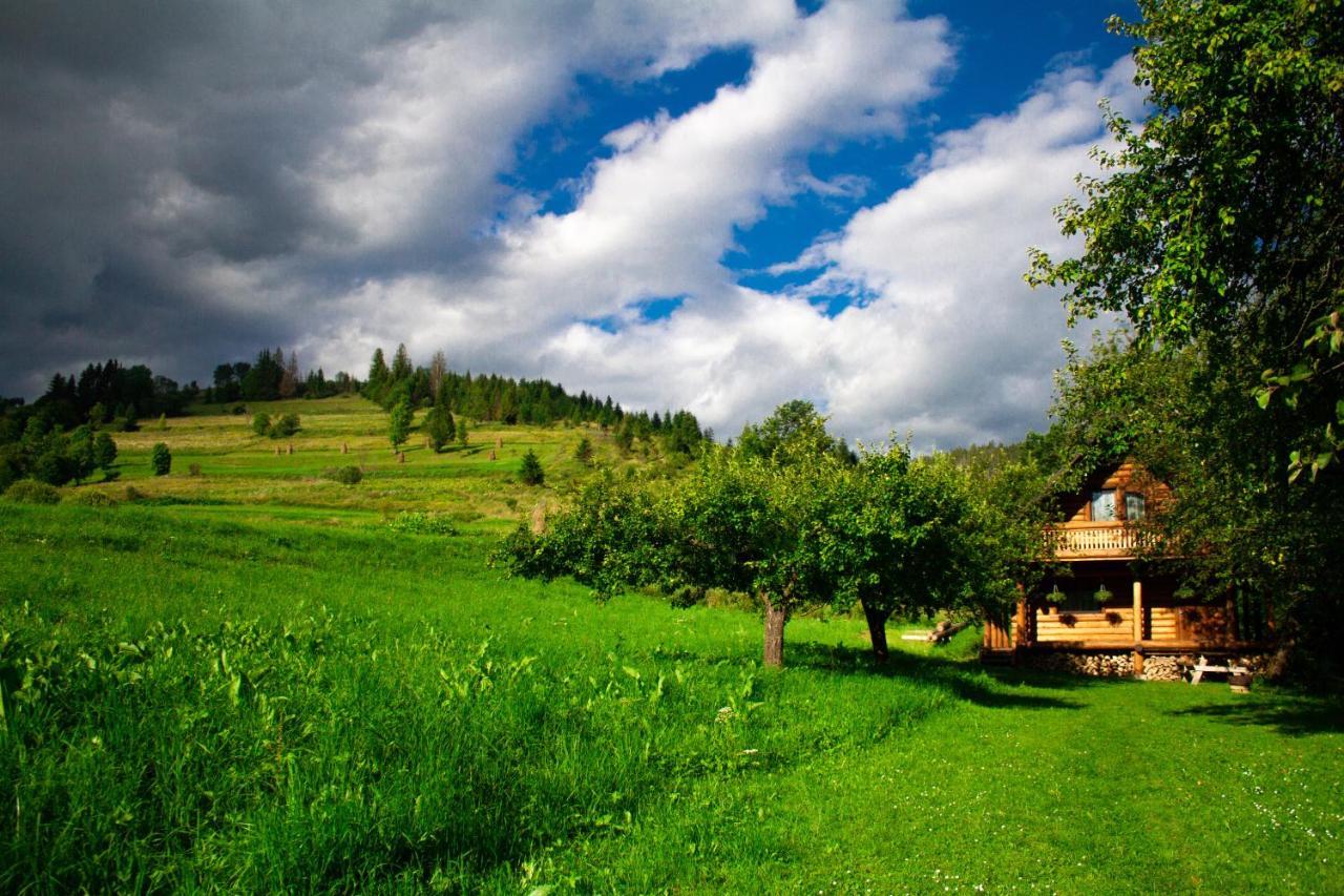 Тихий Куточок Villa Izki Exteriör bild