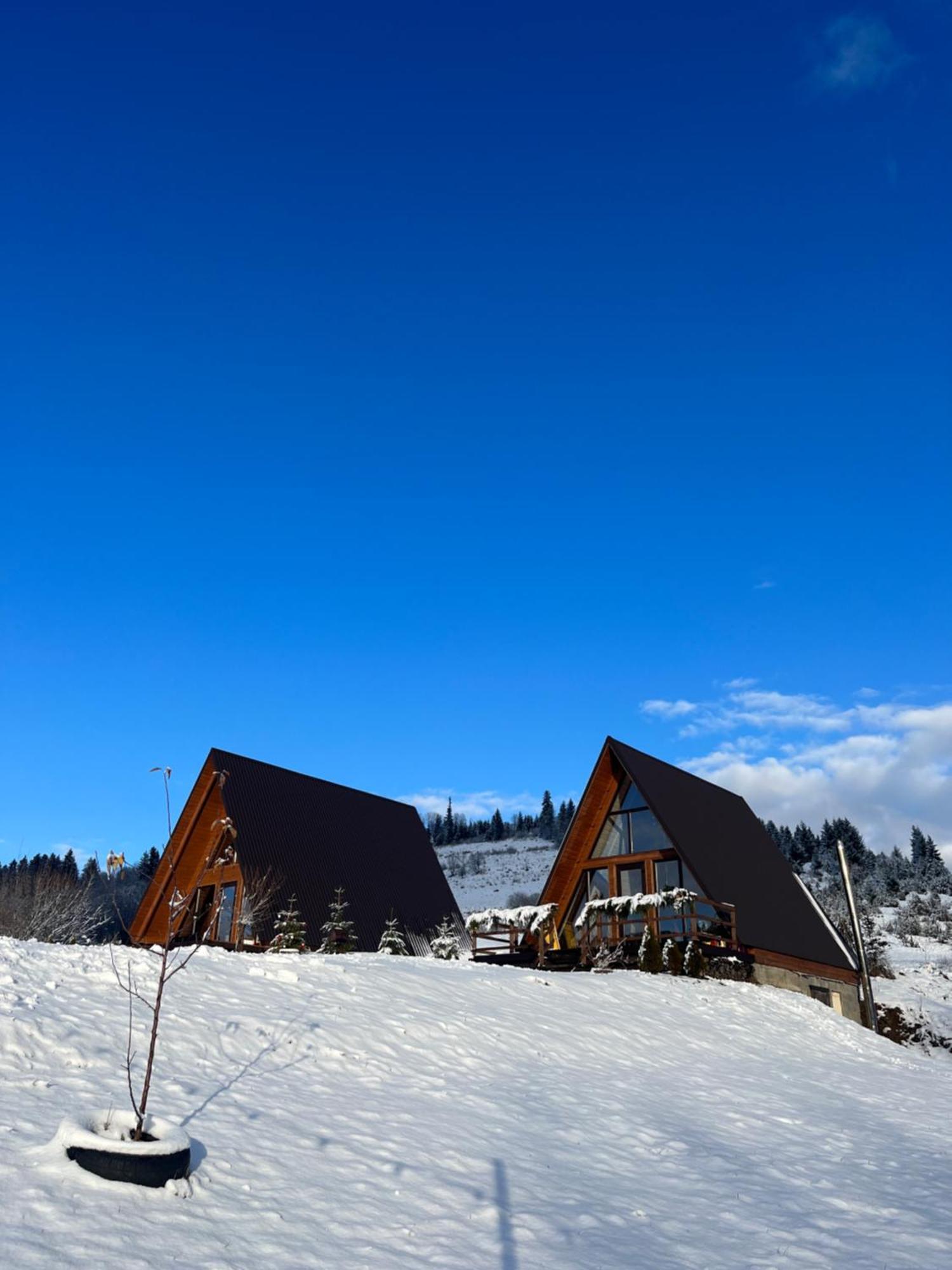 Тихий Куточок Villa Izki Exteriör bild